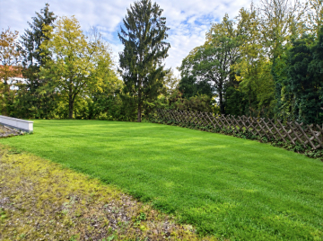 974 m² Baugrundstück, überplant!, 71336 Waiblingen, Grundstück