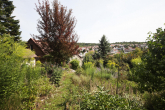 Idyllisch wohnen inmitten von Uhlbach! - Garten