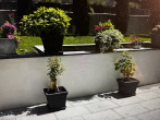 Moderne 3-Zimmer-Wohnung mit Balkon und Terrasse in Weinstadt! - Terrasse